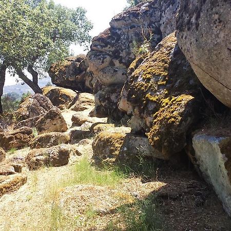 Flor Da Ramila Apartman Marvão Kültér fotó